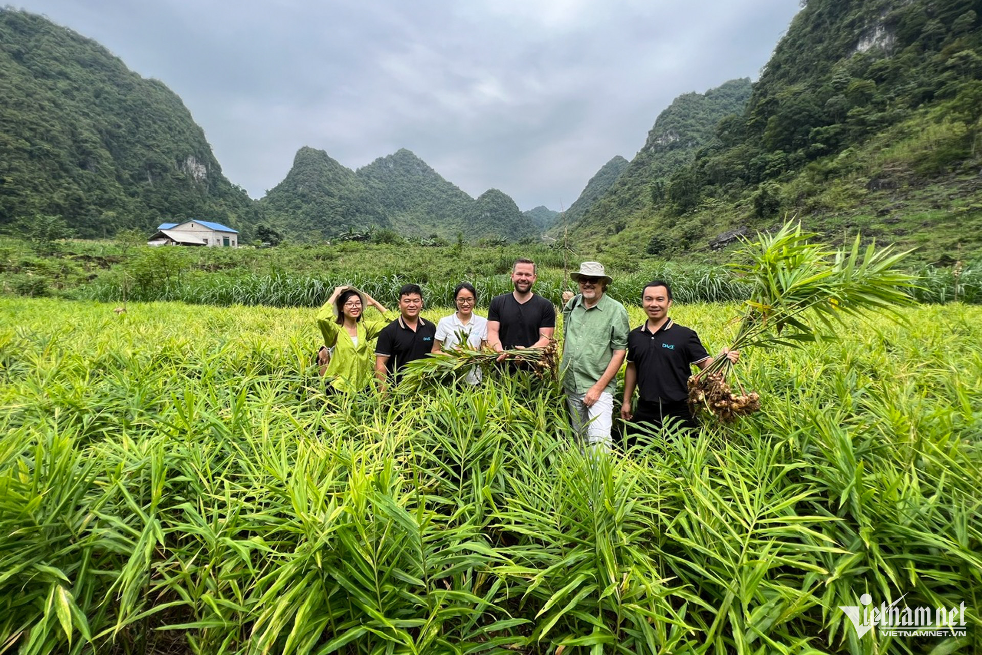 w cao bang dan toc thieu so 5 49930.jpg