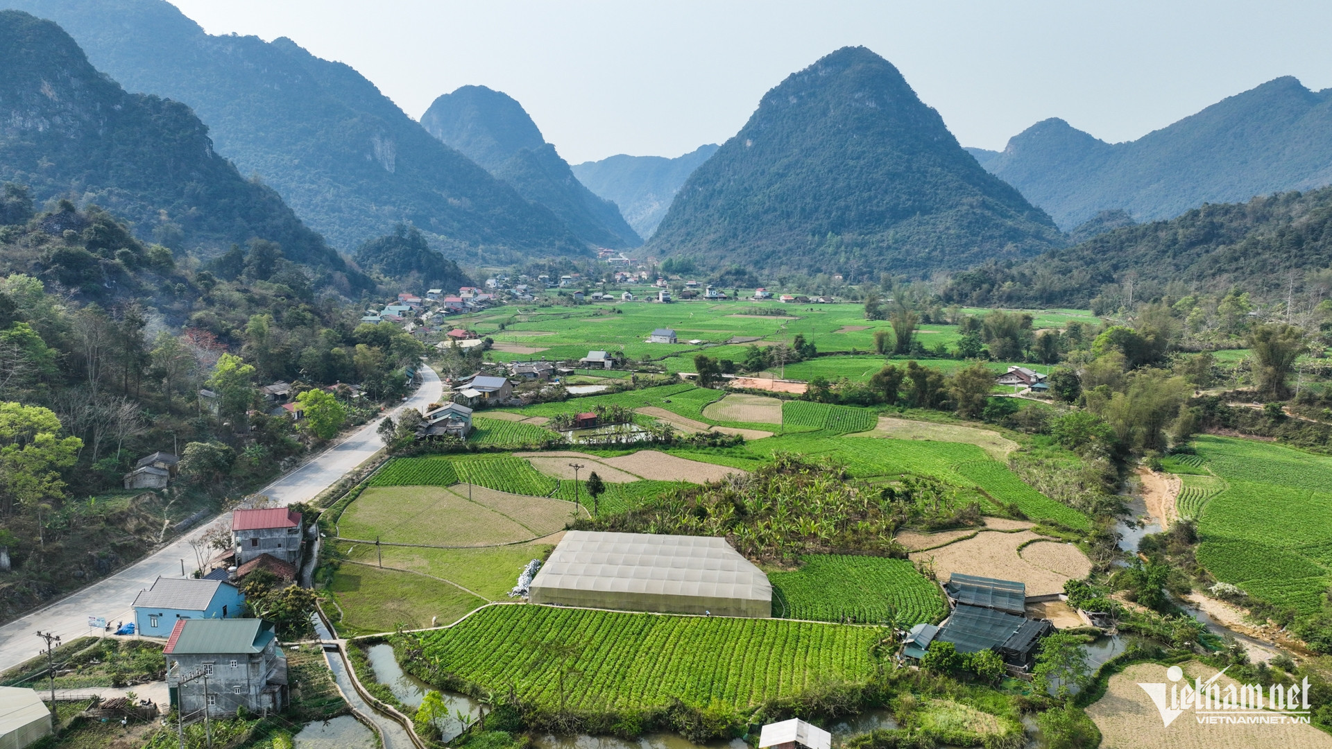 w dan toc thieu so 49927.jpg