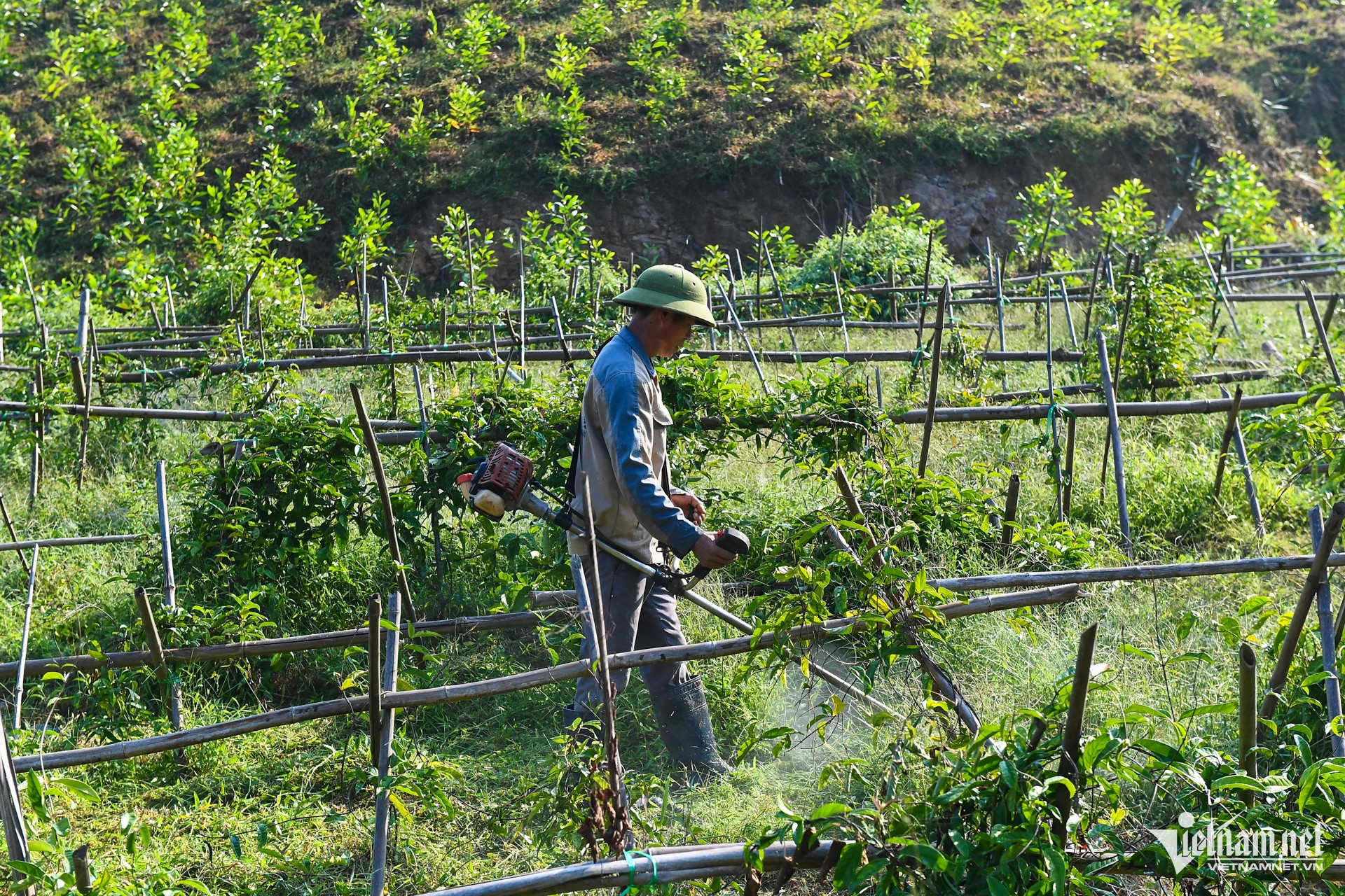 W-dan toc thieu so   xoa doi giam ngheo.jpg