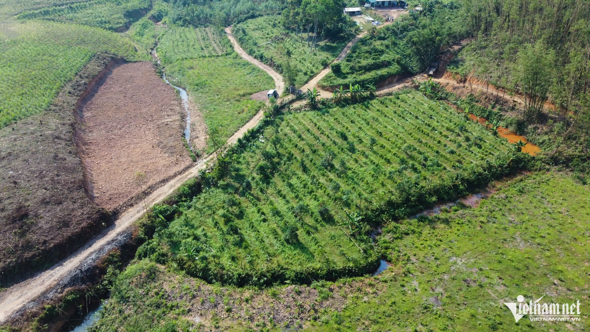 W-dan toc thieu so   xoa doi giam ngheo 12.jpg