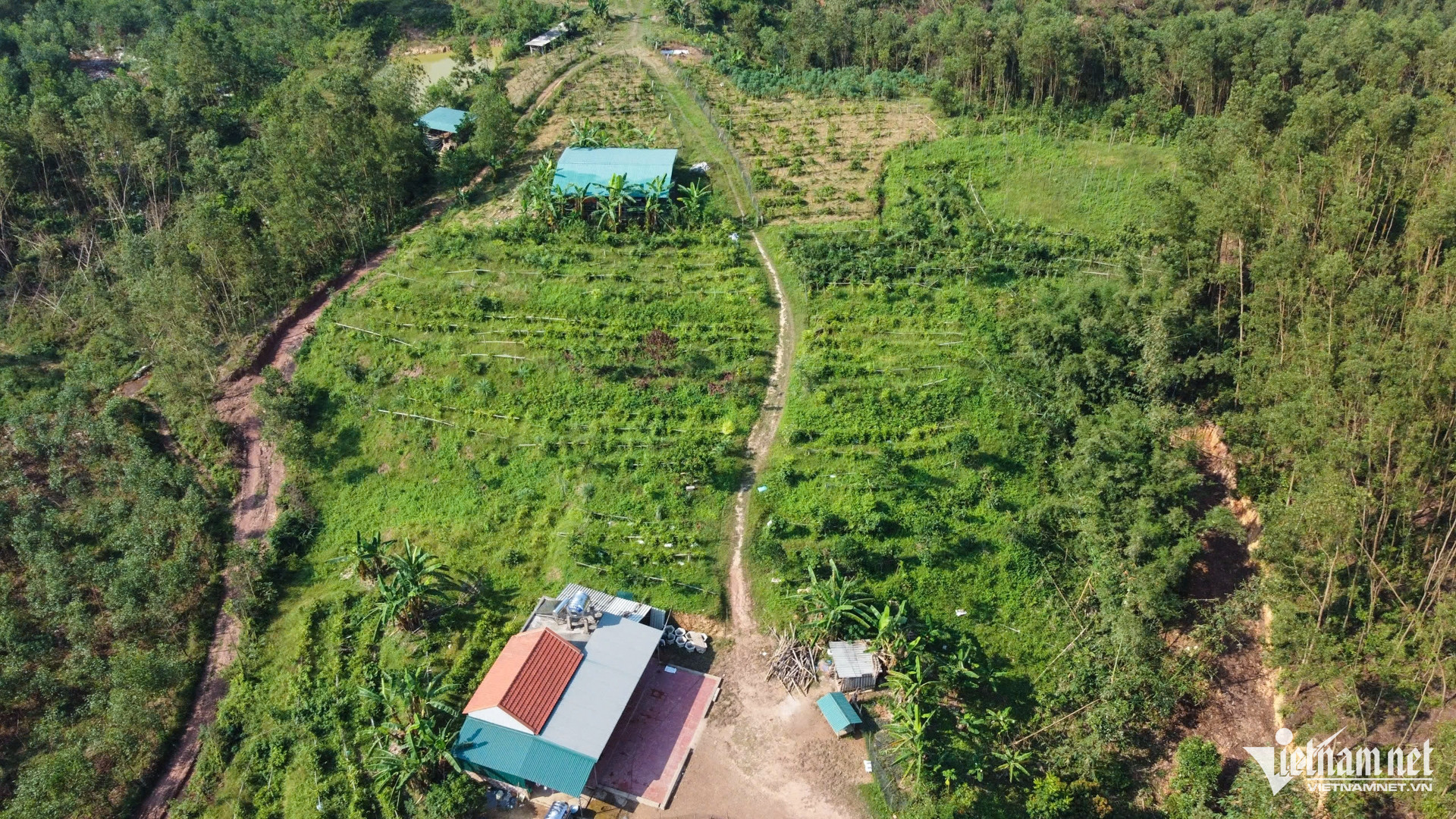 W-dan toc thieu so   xoa doi giam ngheo 13.jpg