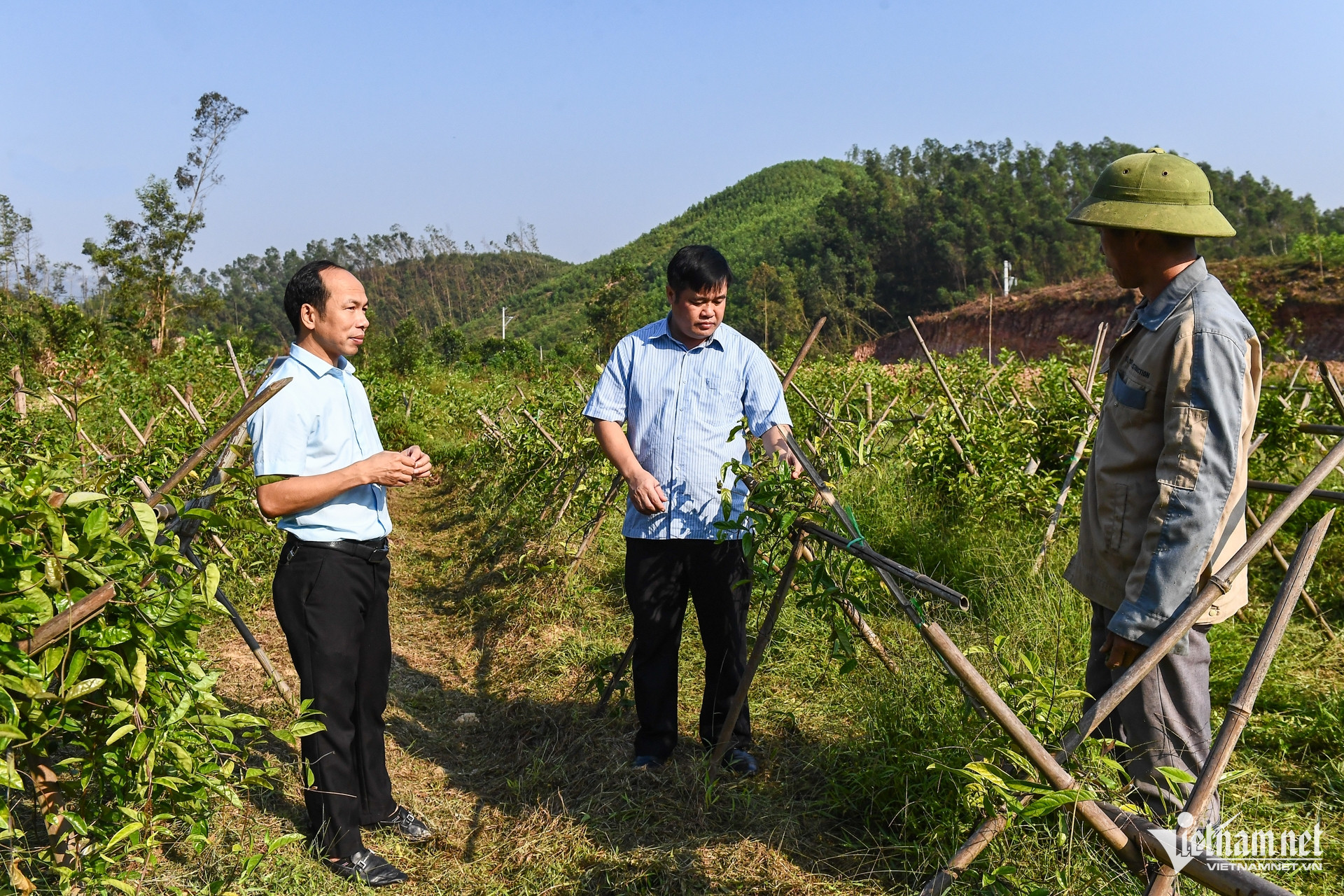 W-dan toc thieu so   xoa doi giam ngheo 8.jpg