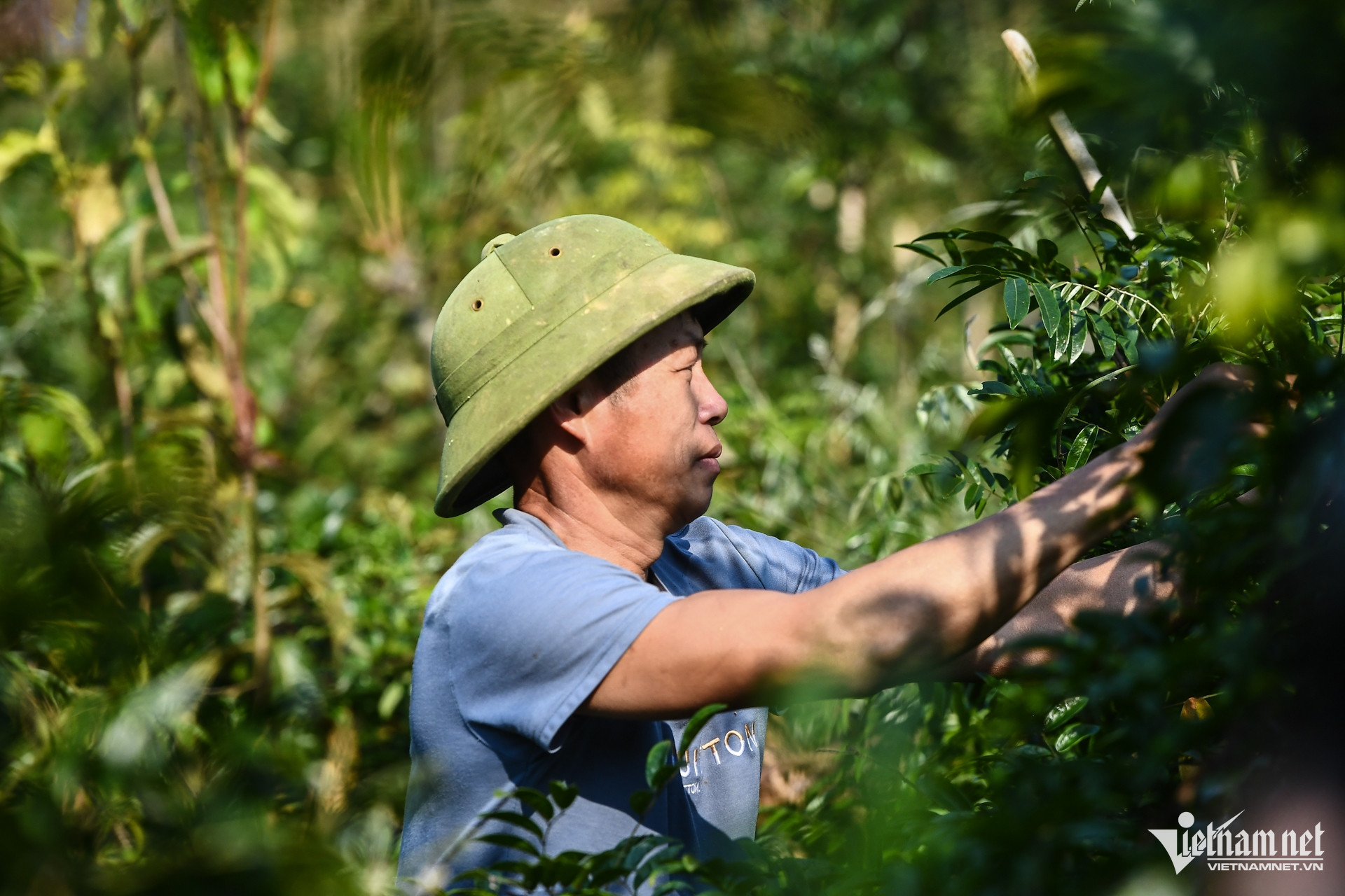 W-dan toc thieu so   xoa doi giam ngheo 9.jpg