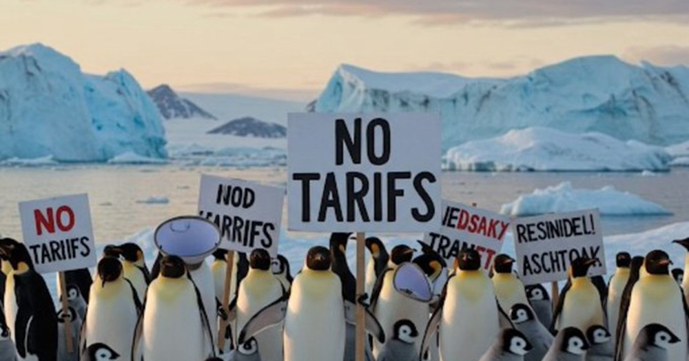 Bất ngờ nguyên nhân Mỹ đánh thuế 10% với đảo chỉ có chim cánh cụt