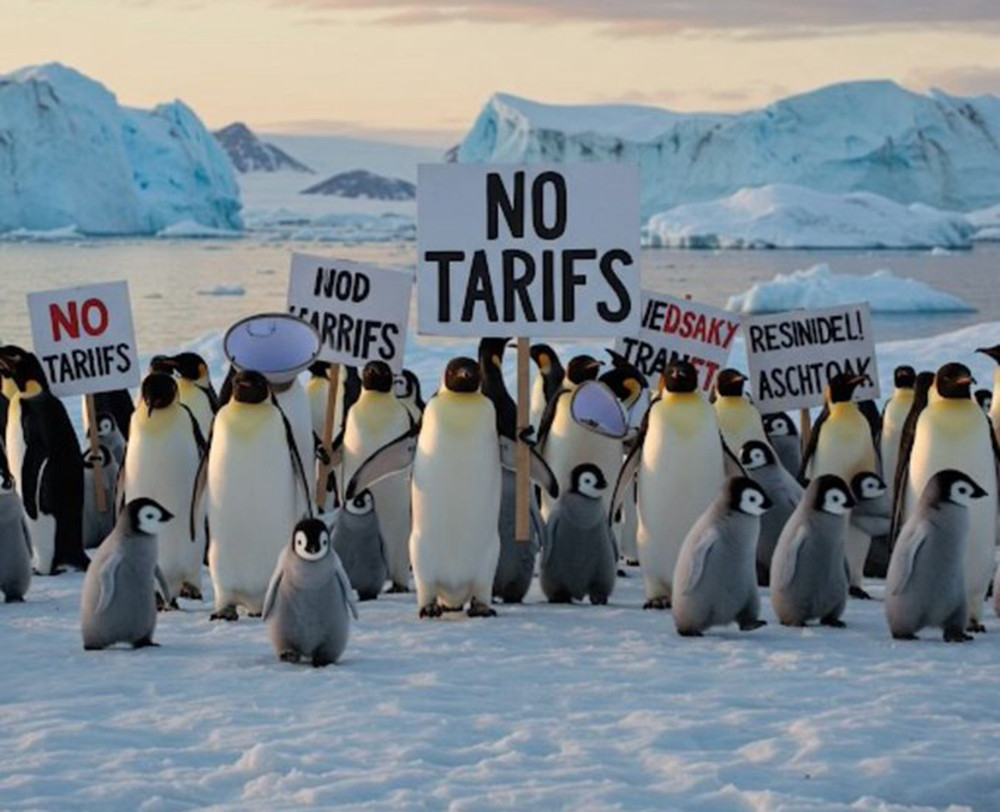 chim canh cut thue.jpg