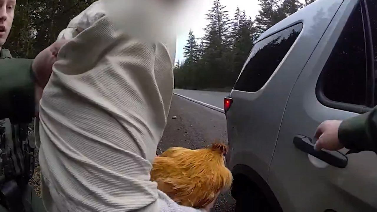 Meet the Happiest Guy in the World   Op Docs.00_01_35_19.Still002.jpg