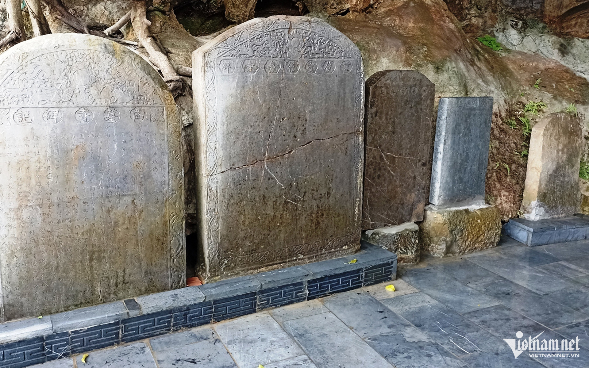 W-4 (v zxv zxv zx1).jpg