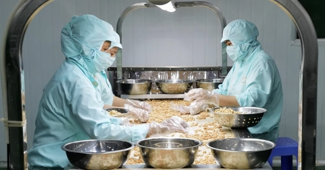 Bị Mỹ áp thuế 46%, doanh nghiệp Việt tức tốc tìm đối tác mới, sang cả Trung Đông