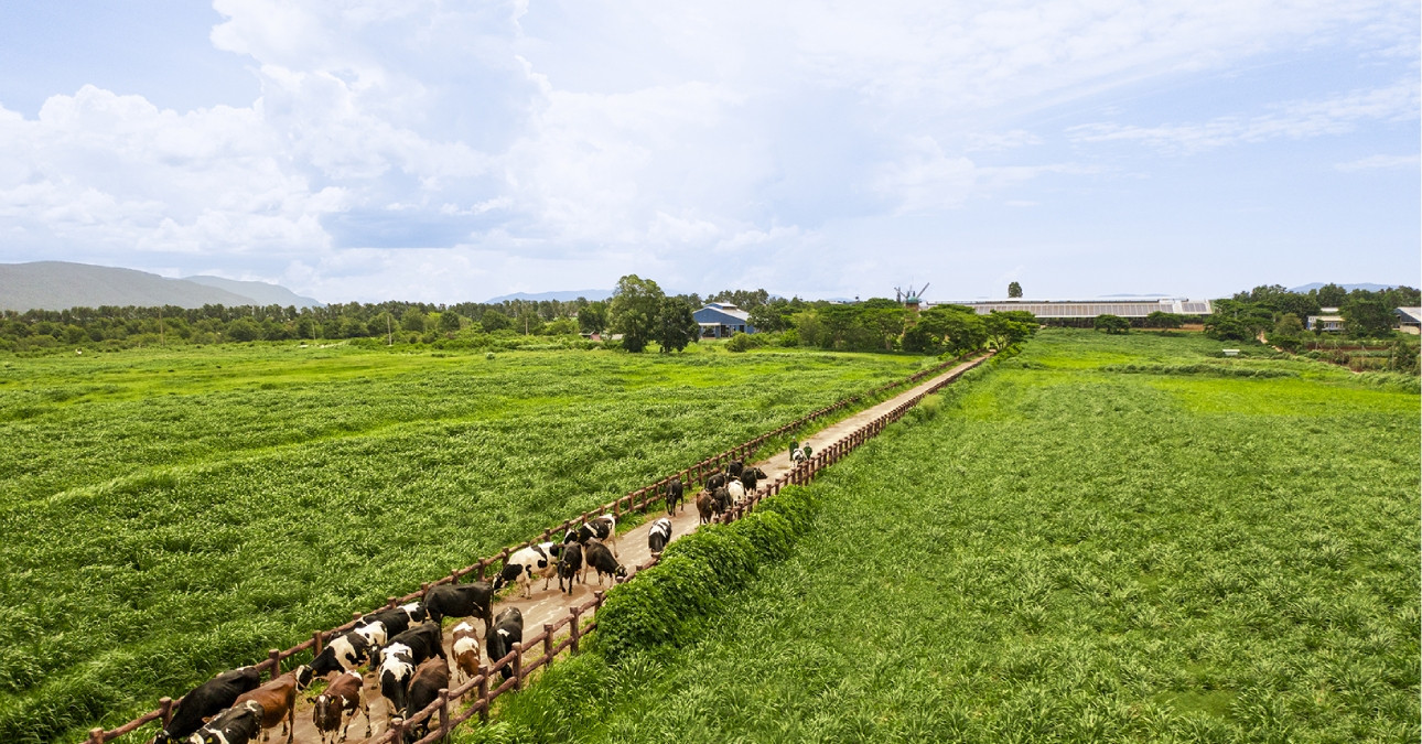CEO Mai Kiều Liên: 2 năm chuyển mình toàn diện, ‘chất Vinamilk’ không thay đổi