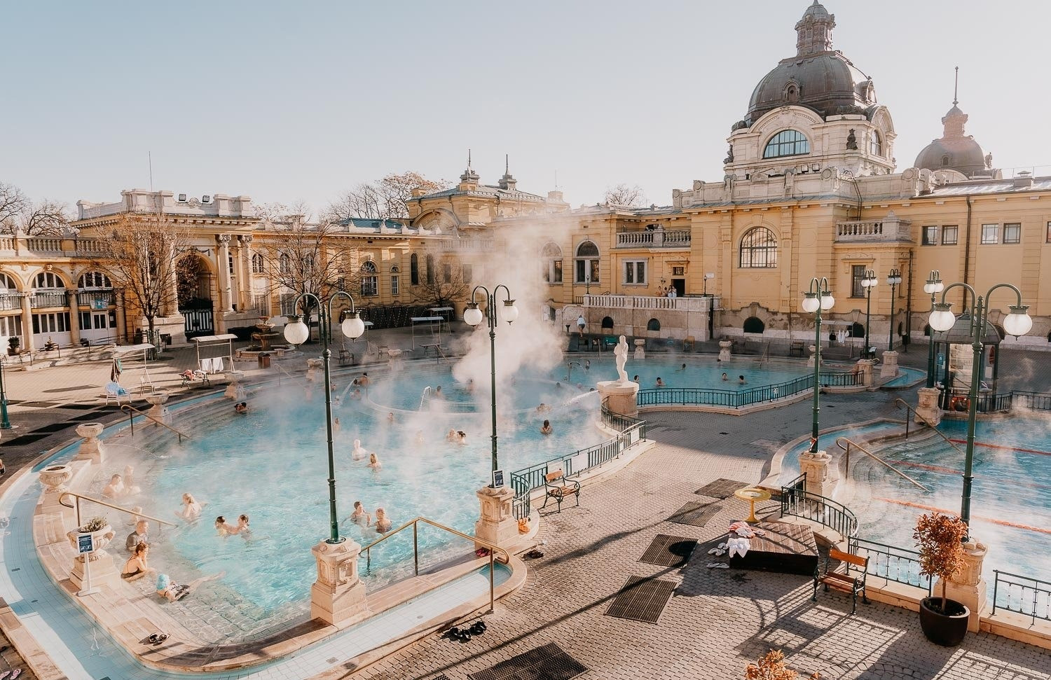 The+Common+Wanderer 185 3.jpg