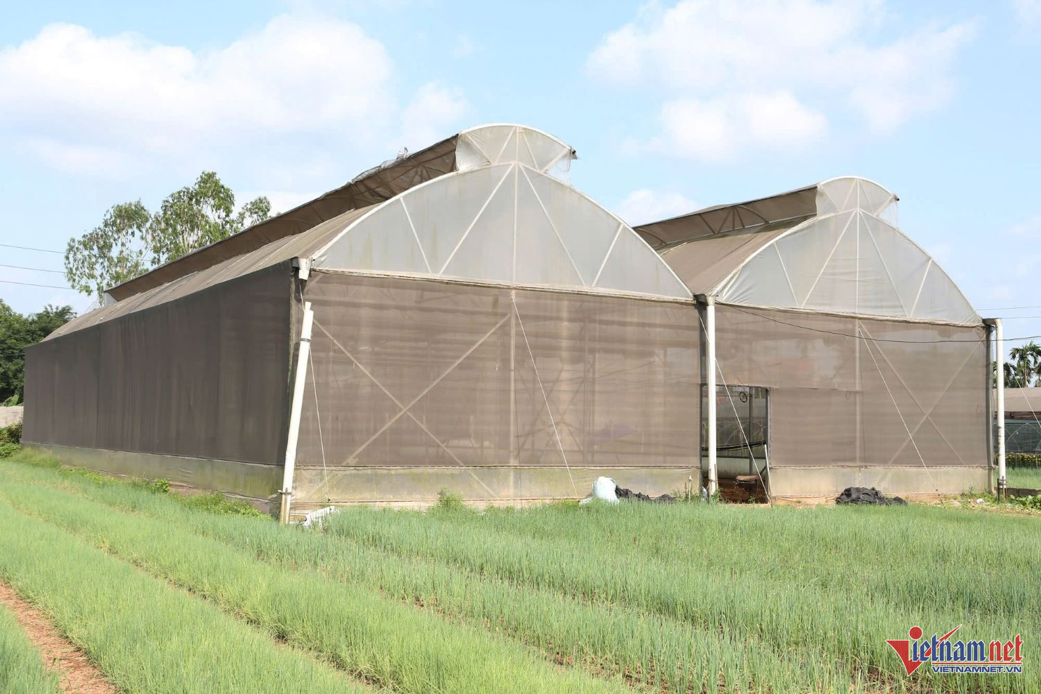 W-son la chuan 466.jpg