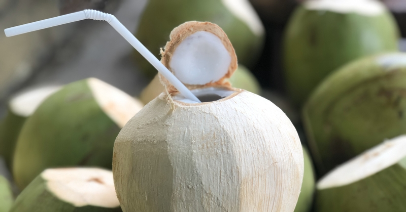 Nghỉ lễ đi chơi vùng nắng nóng, có nên uống nước dừa thay nước lọc?