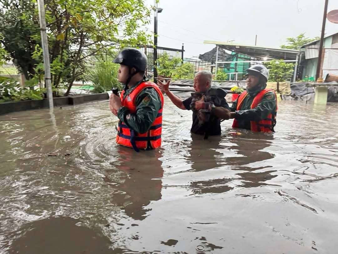 69781063 b643 4c0d ba53 a42bb6203aee.jpg