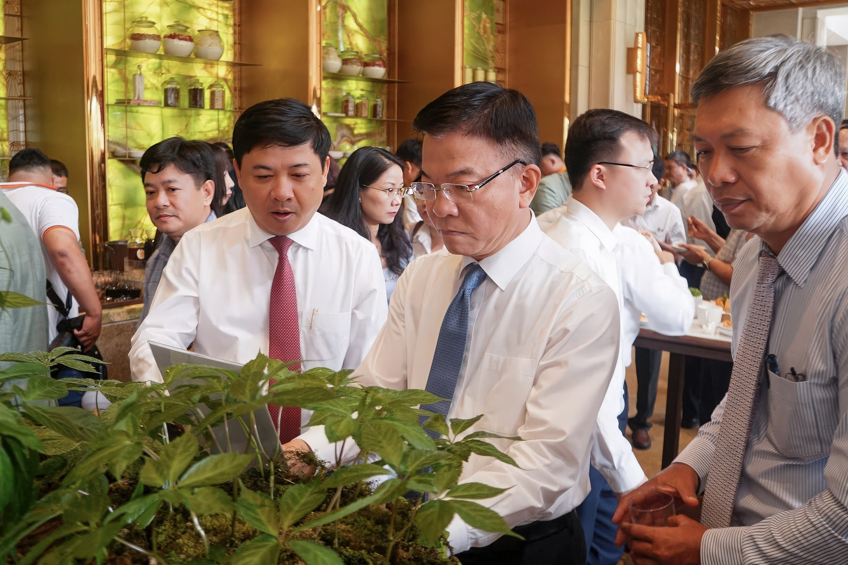 Phó Thủ tướng: Đưa Quảng Nam trở thành trung tâm công nghiệp dược liệu