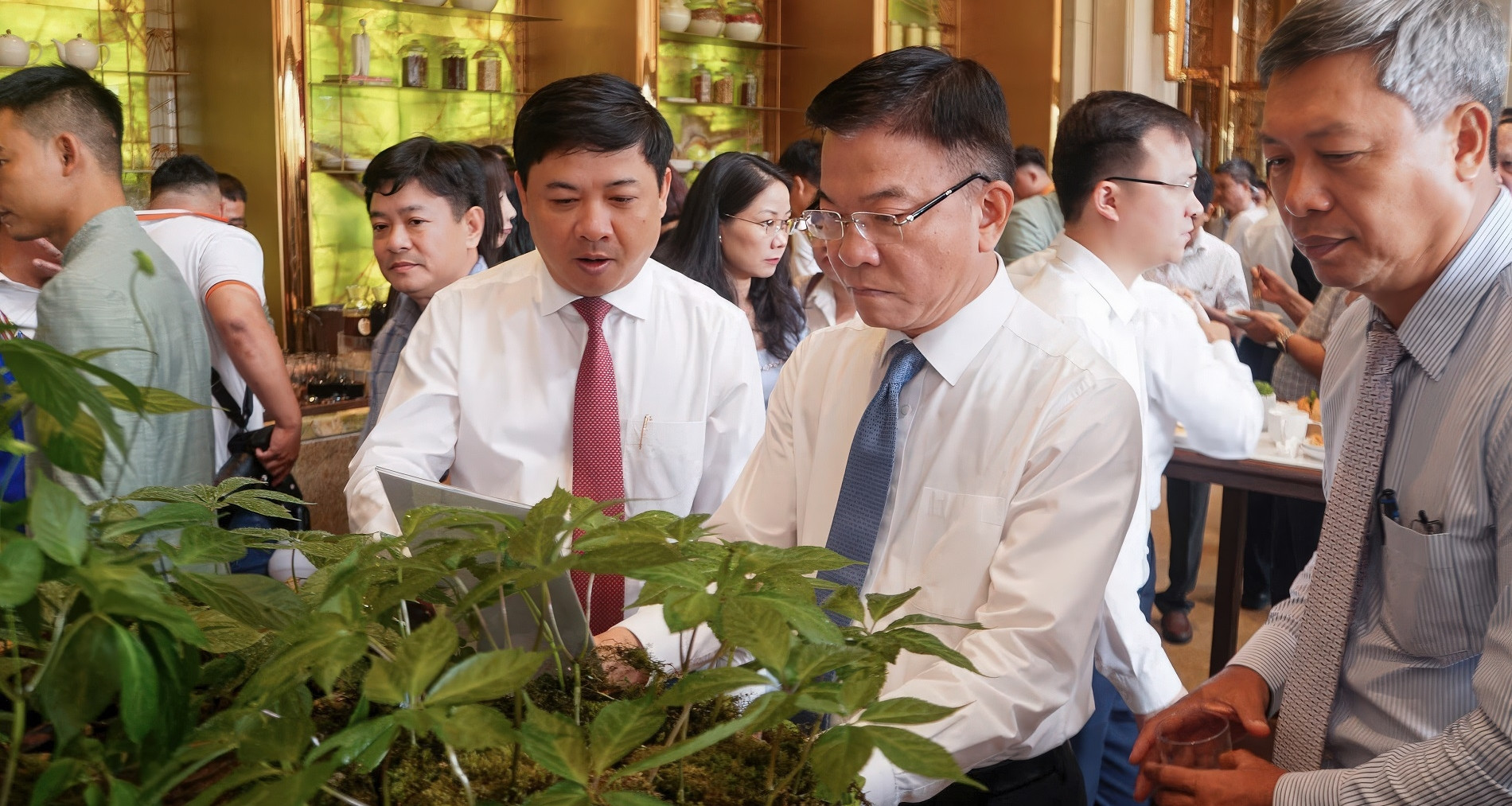 Phó Thủ tướng: Đưa Quảng Nam trở thành trung tâm công nghiệp dược liệu