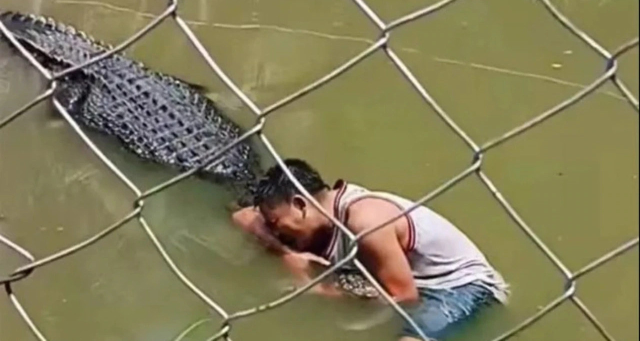 Du khách bị cá sấu tấn công nghiêm trọng vì "cú...