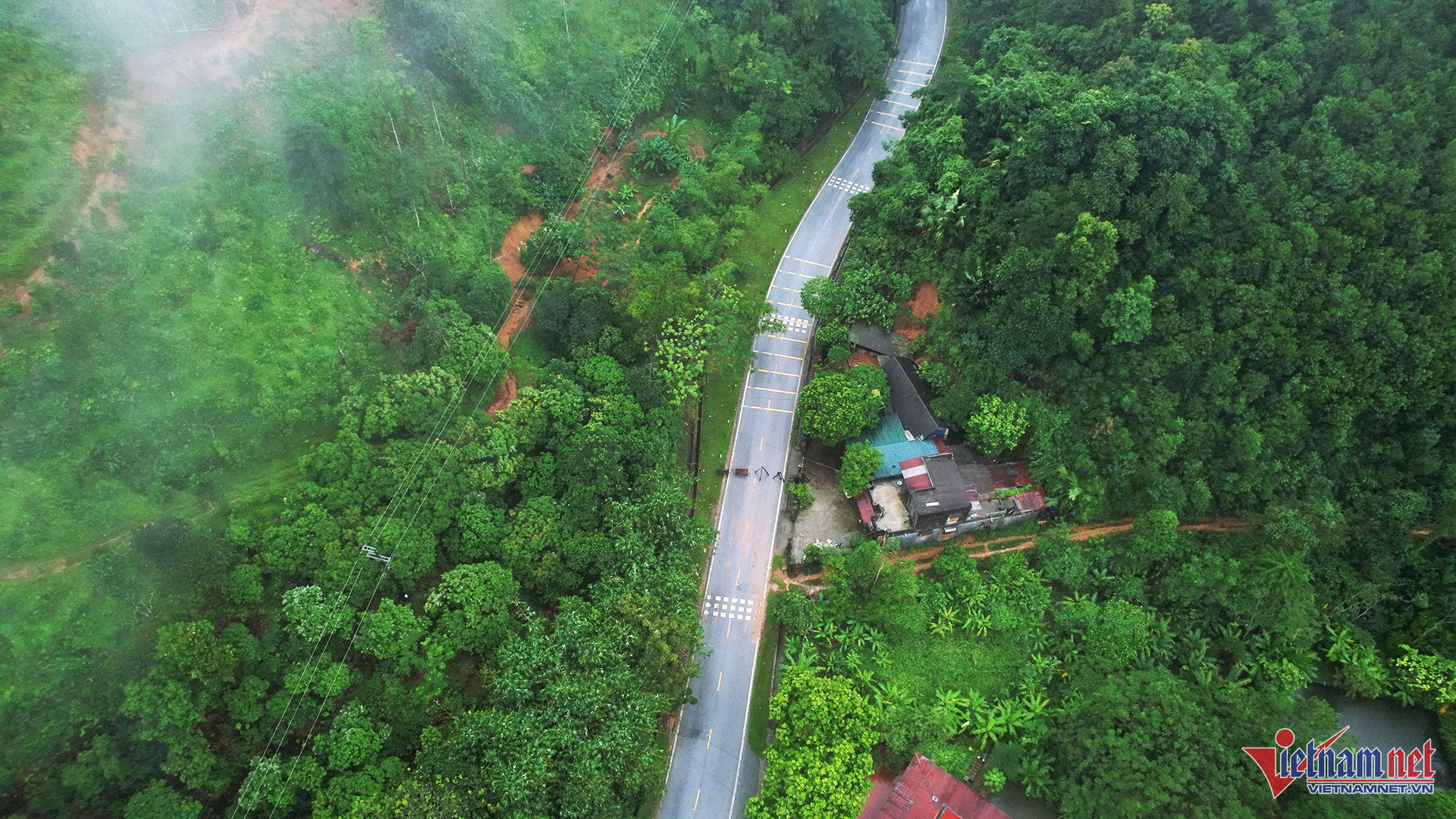 W-quoc lo 2 .jpg