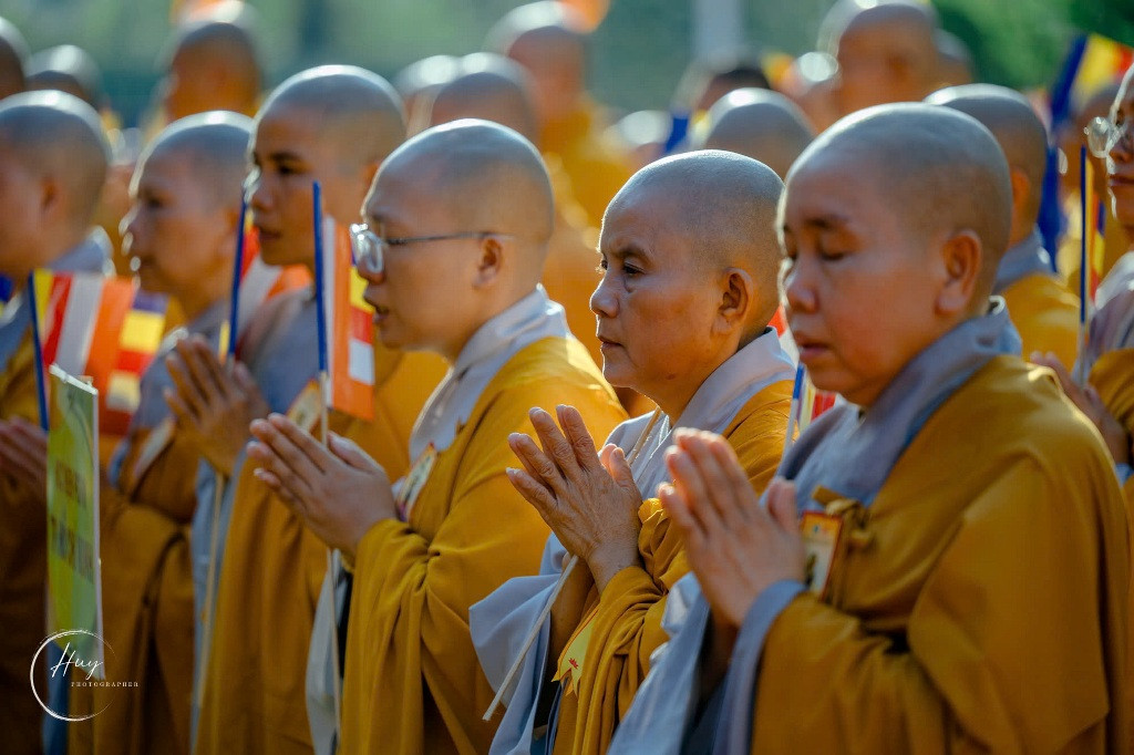 dailephatdan (21).jpg