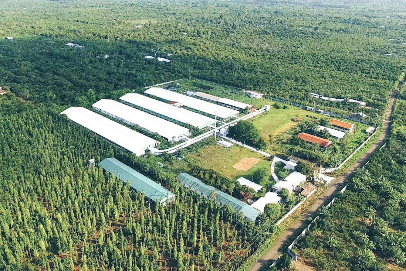 Một doanh nghiệp chăn nuôi ở Long An báo lãi 2.100 tỷ, vượt mặt nhiều 'đại gia'