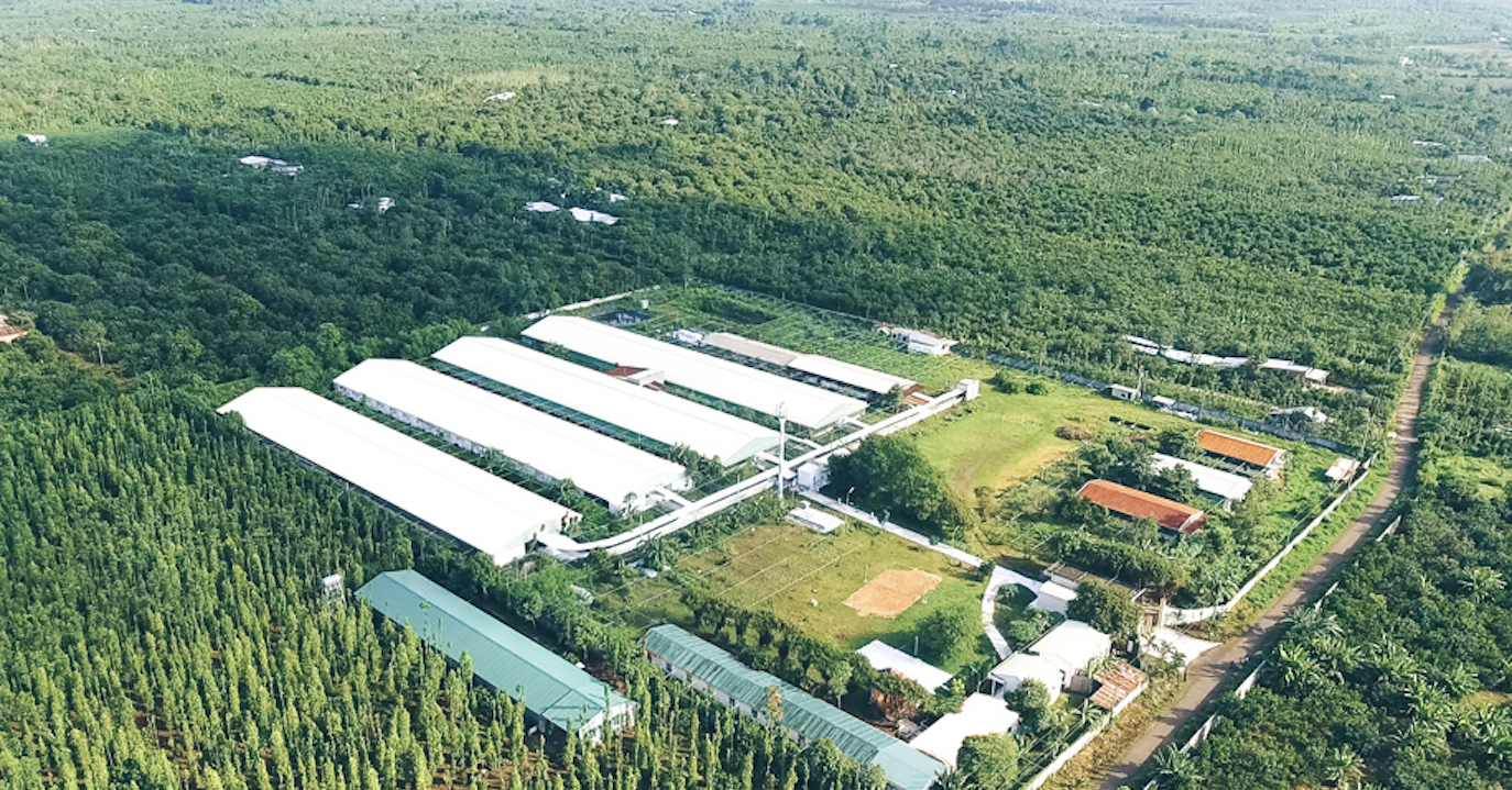 Một doanh nghiệp chăn nuôi ở Long An báo lãi 2.100 tỷ, vượt mặt nhiều 'đại gia'