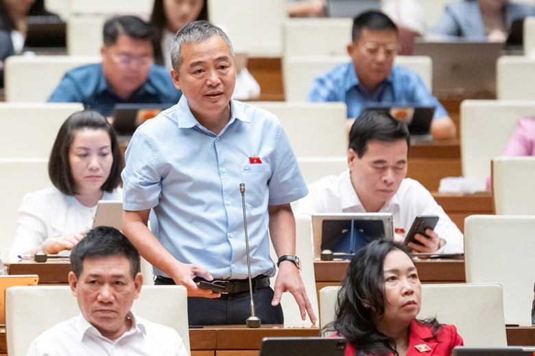 Nguyễn lân hiếu.jpg