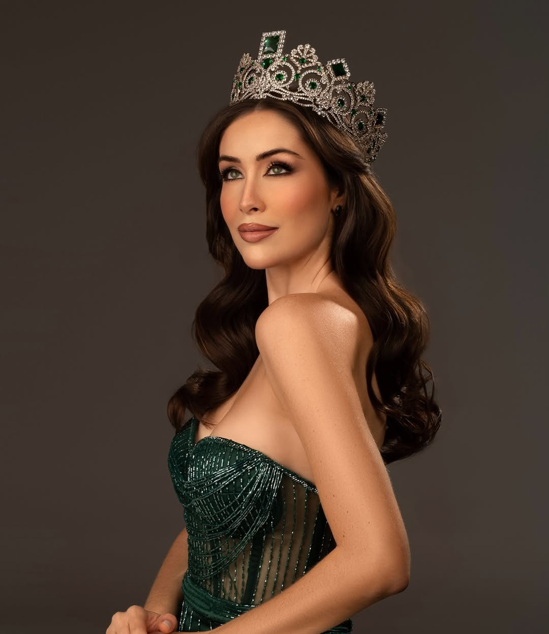 snapins ai_3462252065025991662.jpg