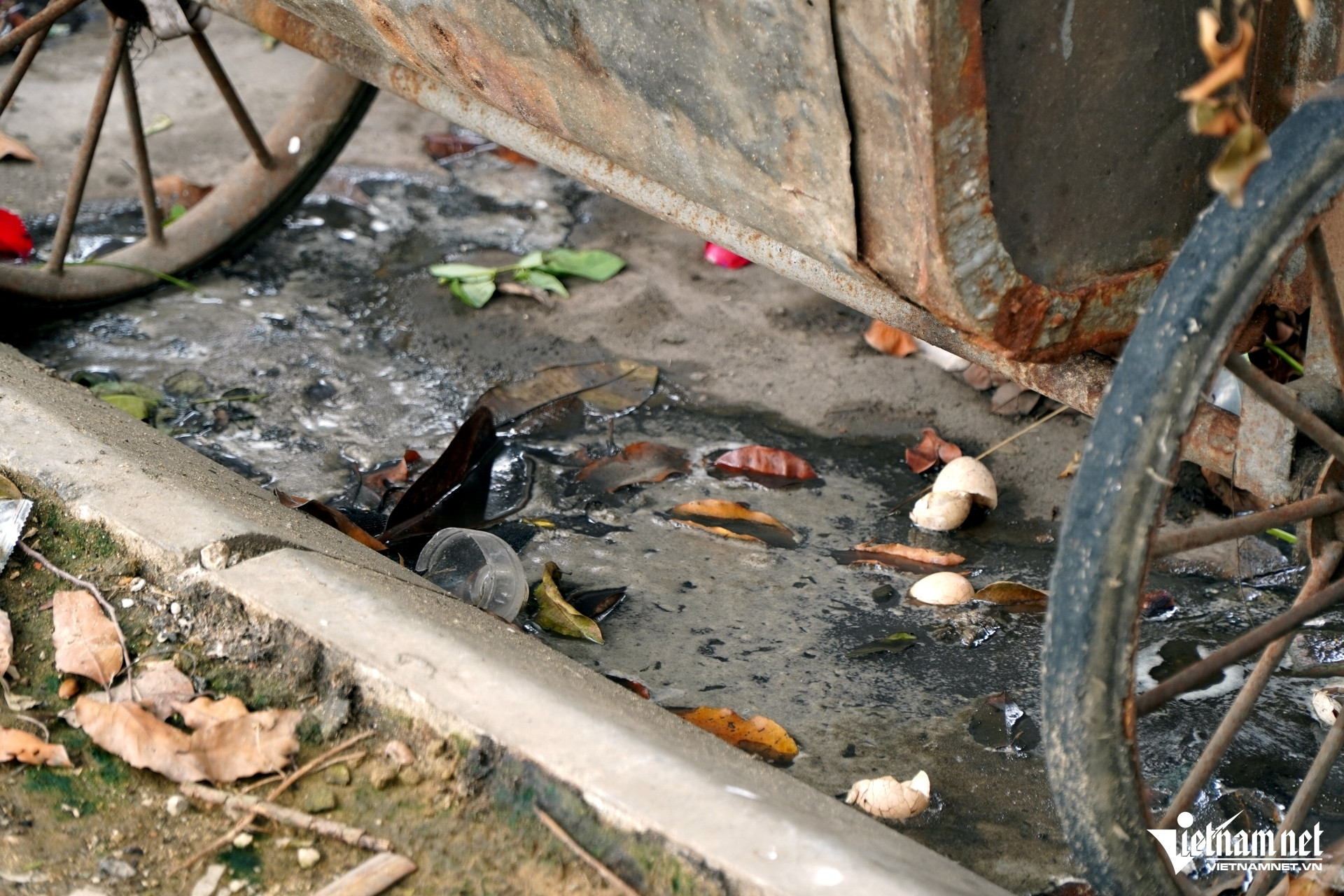 W-a7Rác thải tràn ngập phố.JPG.jpg