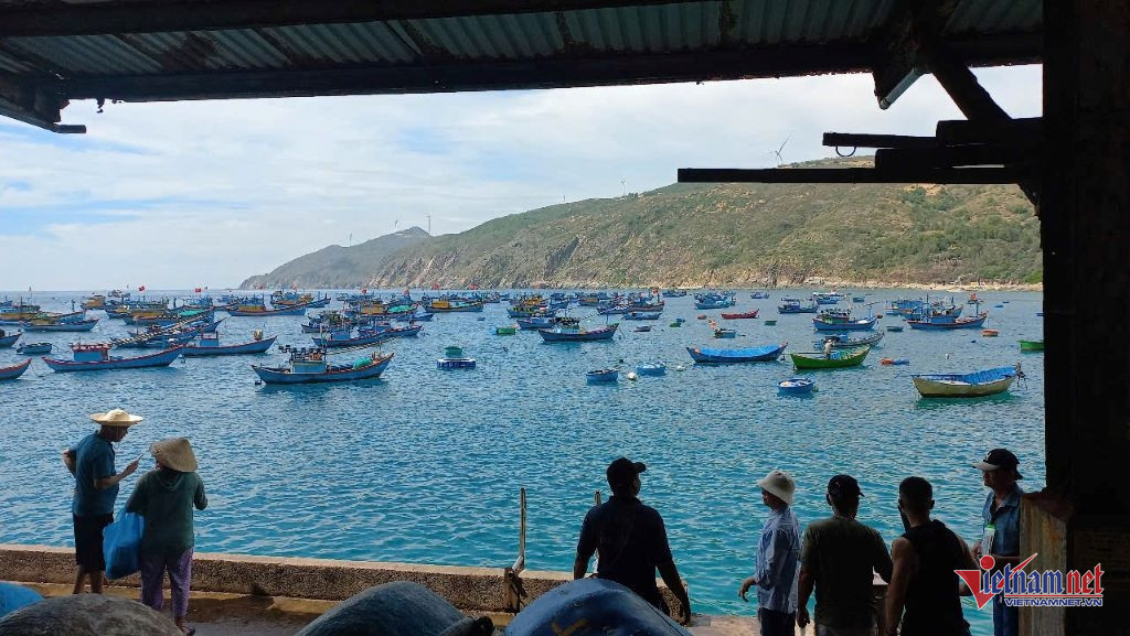 W-anh quangngai chuan.jpg