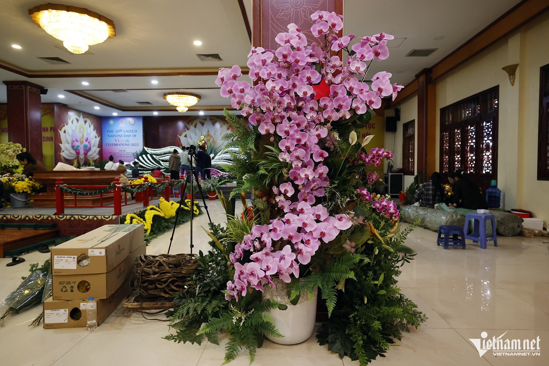 W-Hoa lan hinh dat nuoc.jpg