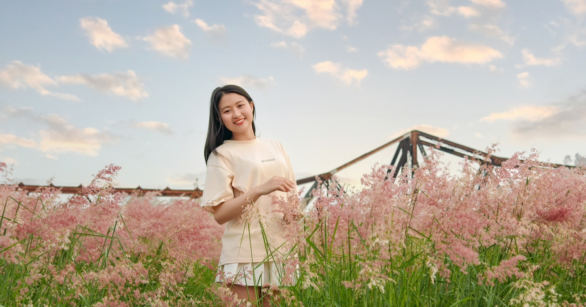 Bãi cỏ hồng giữa lòng Hà Nội đẹp thơ mộng không kém Đà Lạt, hút khách chụp ảnh