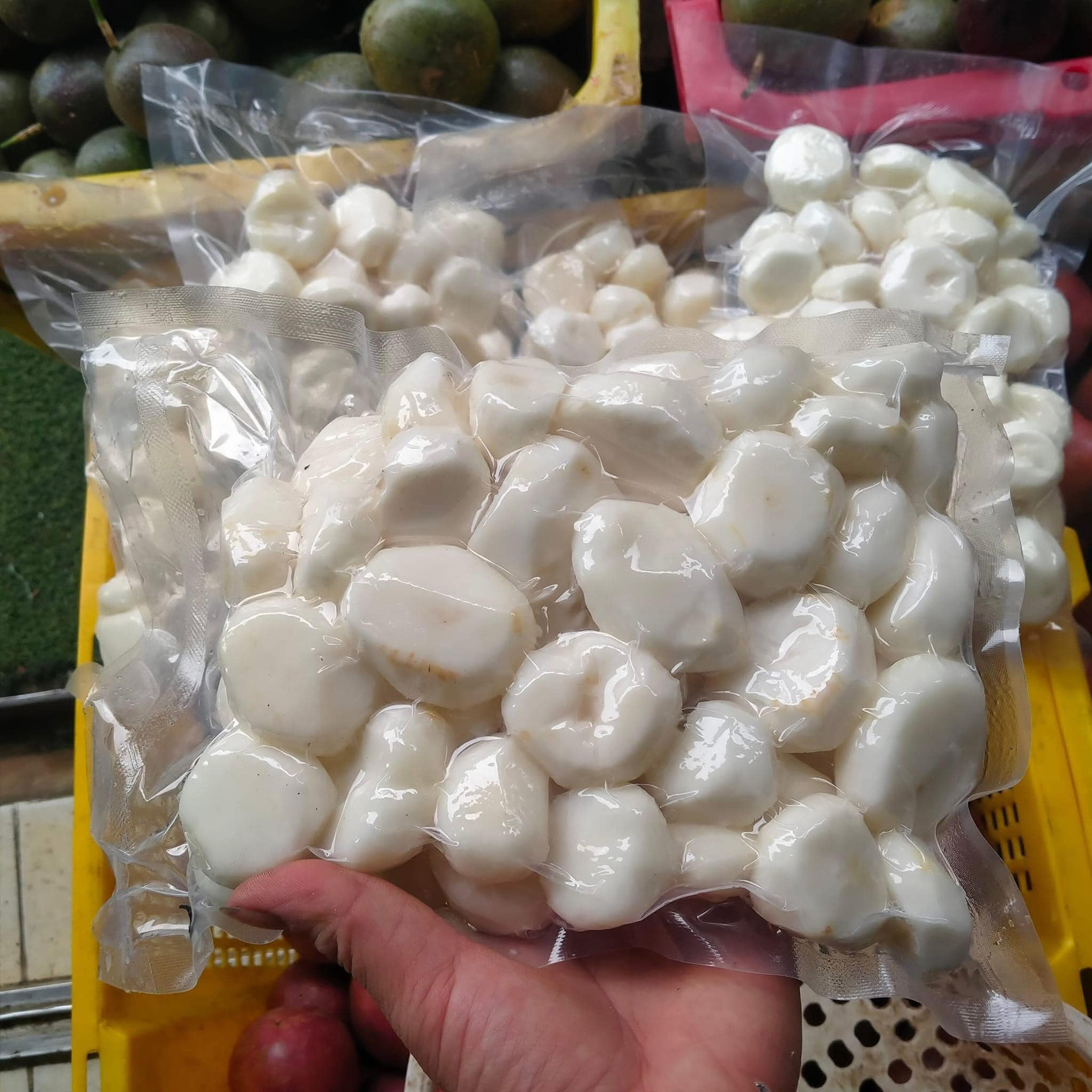 củ năng   thạch lan 1.jpg
