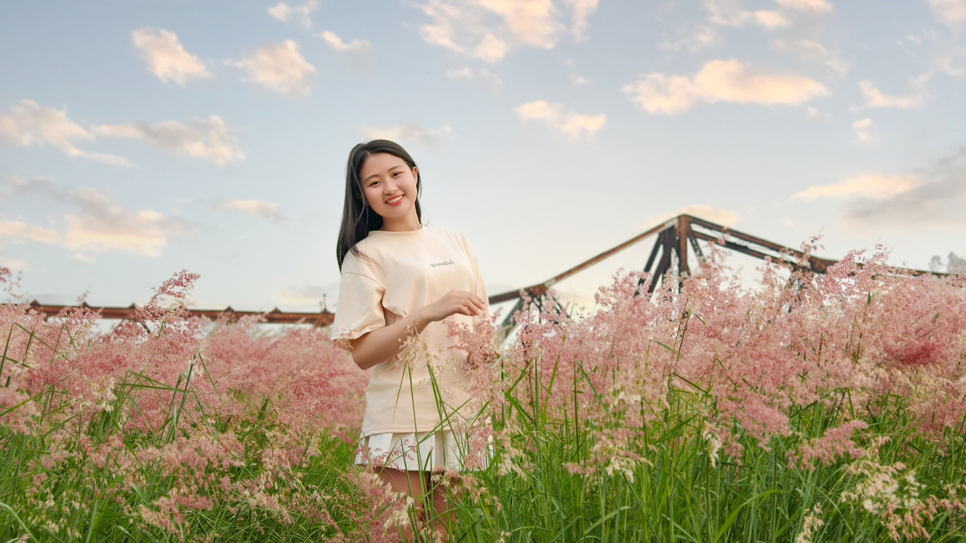 đồi cỏ hồng Long Biên 1.jpg