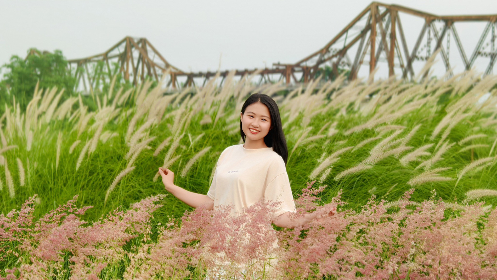 đồi cỏ hồng Long Biên 4.jpg