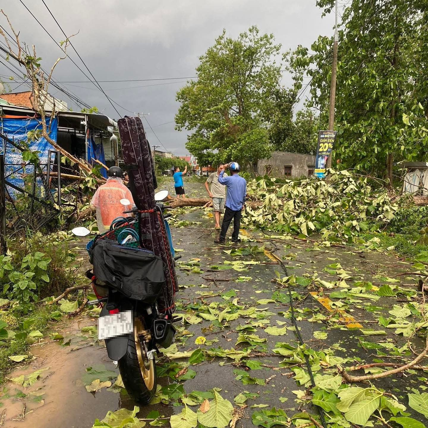 Mưa giông đồng nai.jpeg
