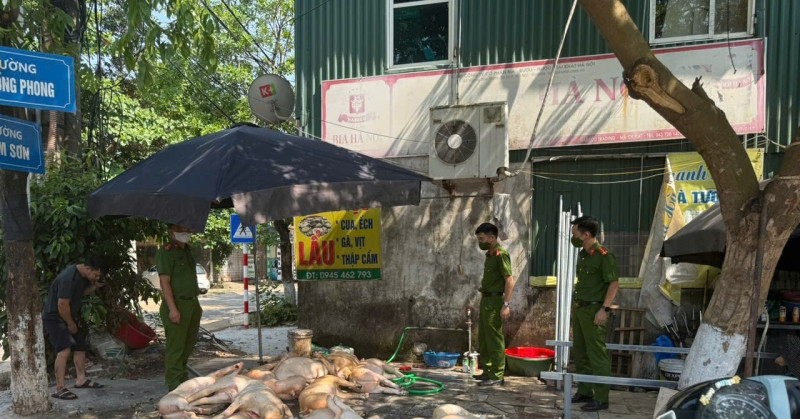 Phát hiện 1 tấn thịt lợn 'xuất huyết ngoài da' chuẩn bị lên lò quay