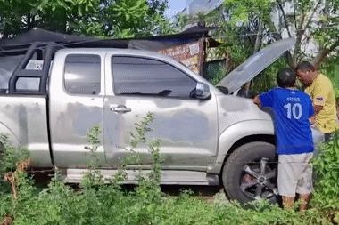 Trăn khổng lồ ngoe nguẩy trong khoang động cơ xe bán tải