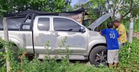 Trăn khổng lồ ngoe nguẩy trong khoang động cơ xe bán tải