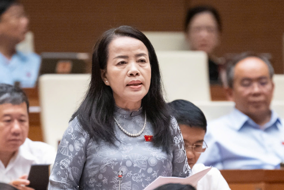 Bỏ quyền chất vấn của HĐND với chánh án, viện trưởng rất khó thuyết phục cử tri