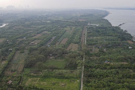 Chủ tịch Hà Nội yêu cầu kiểm tra thông tin xây nhà trái phép trên bãi sông Hồng