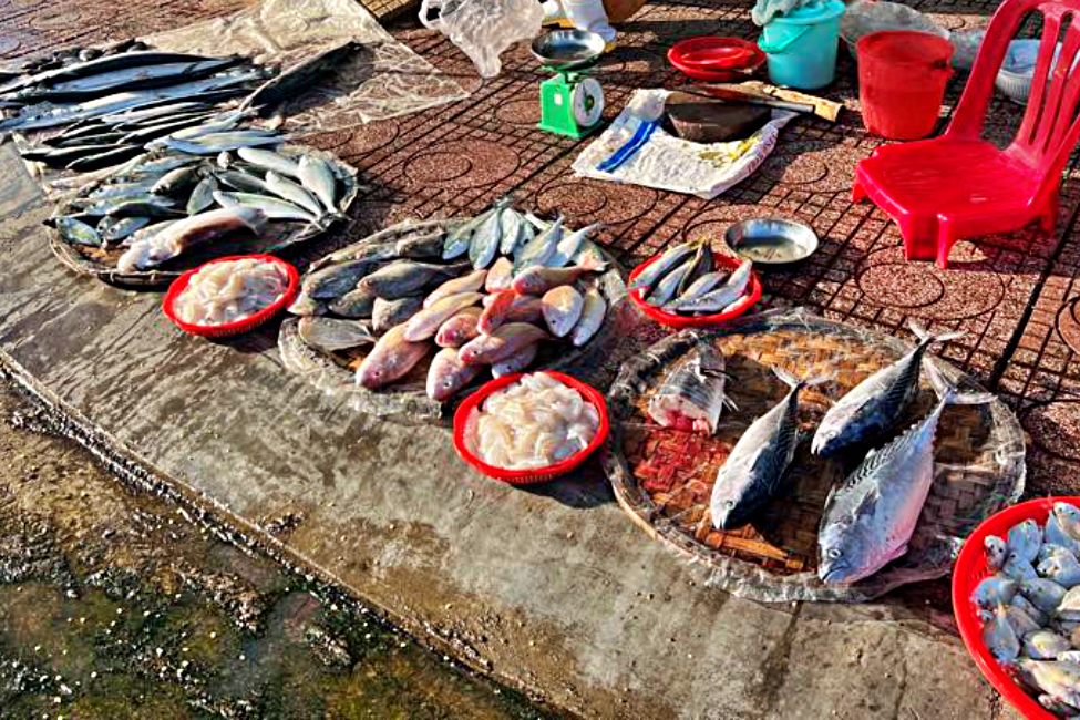 Mẹ mù chữ, bán cá ở chợ, nhưng dạy tôi những bài học vô giá