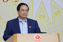 Thủ tướng: Sữa giả, thuốc giả là vấn đề lớn phải kiểm điểm, làm rõ trách nhiệm