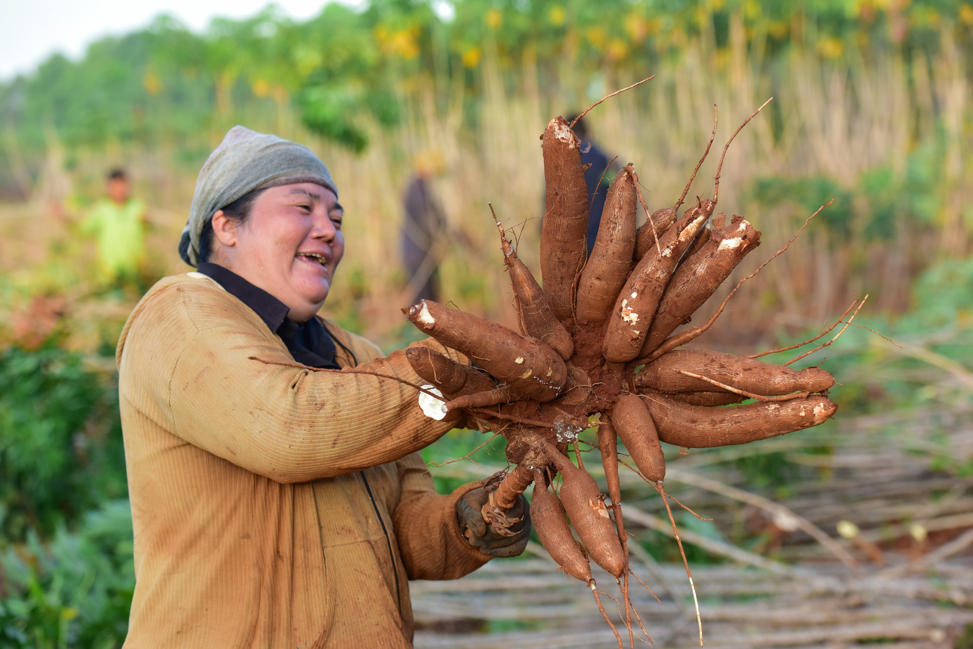 3 Bản sao của Ajinomoto cay san12.jpg