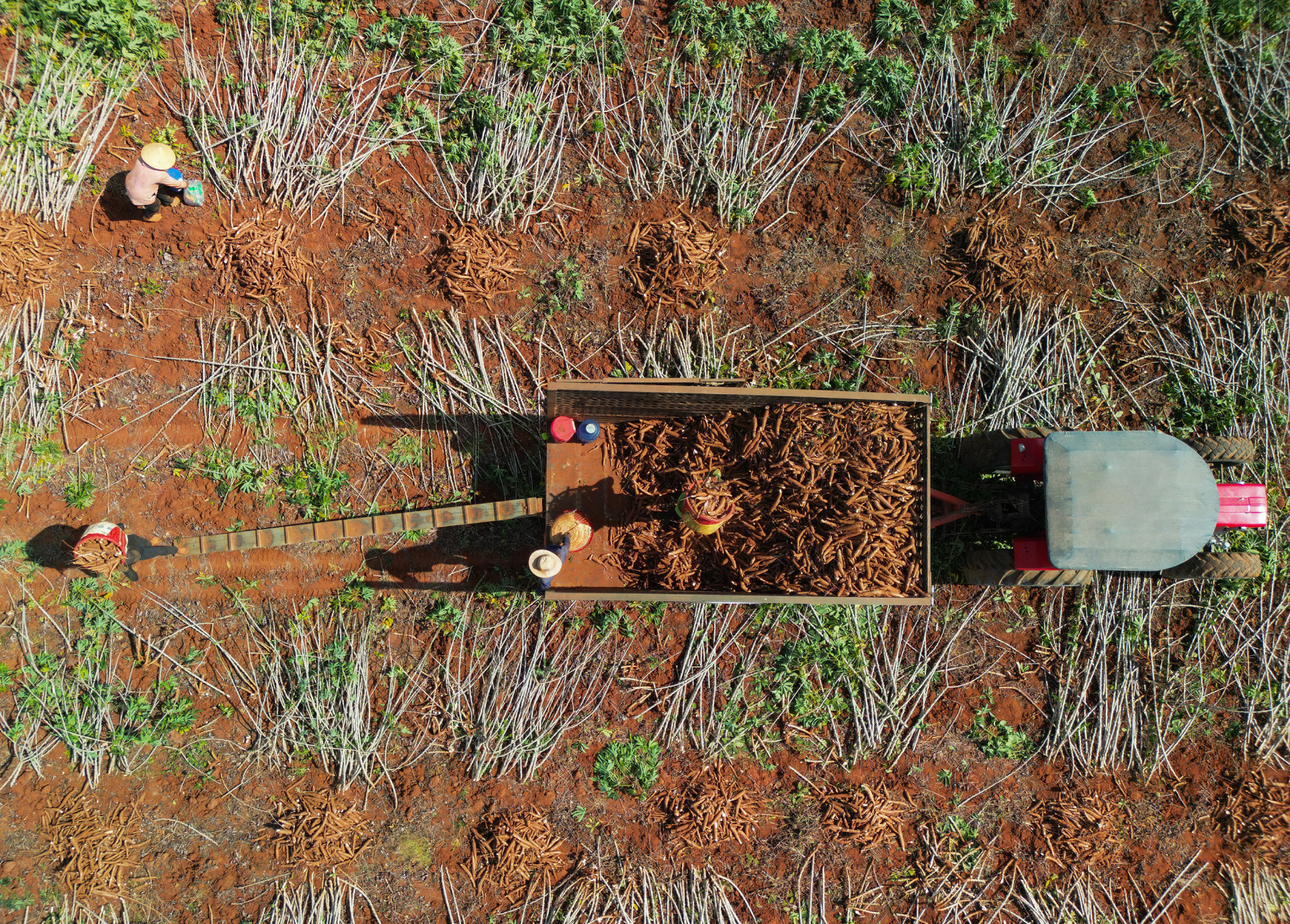 5 Bản sao của Ajinomoto cay san160.jpg