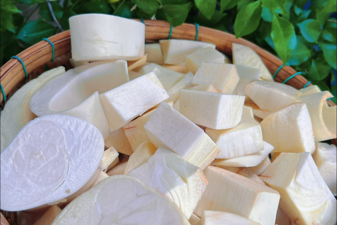 Đặc sản 'xa xỉ' trắng nõn nà, đốn cả cây cao hàng mét mới thu được vài kg