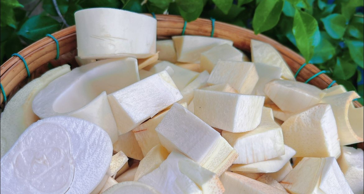 Đặc sản 'xa xỉ' trắng nõn nà, đốn cả cây cao hàng mét mới thu được vài kg