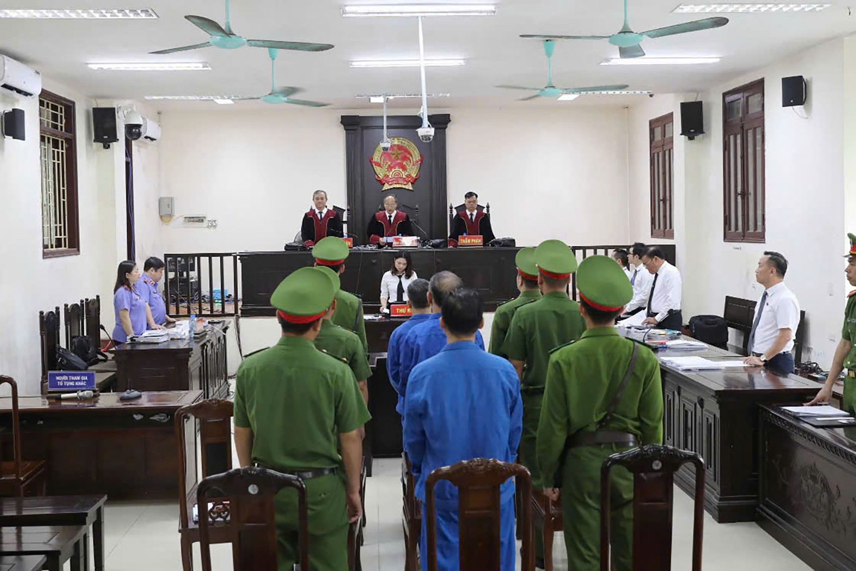 e8d83c28 4ea8 44b8 a3fc d7f3f89a6a02.jpeg