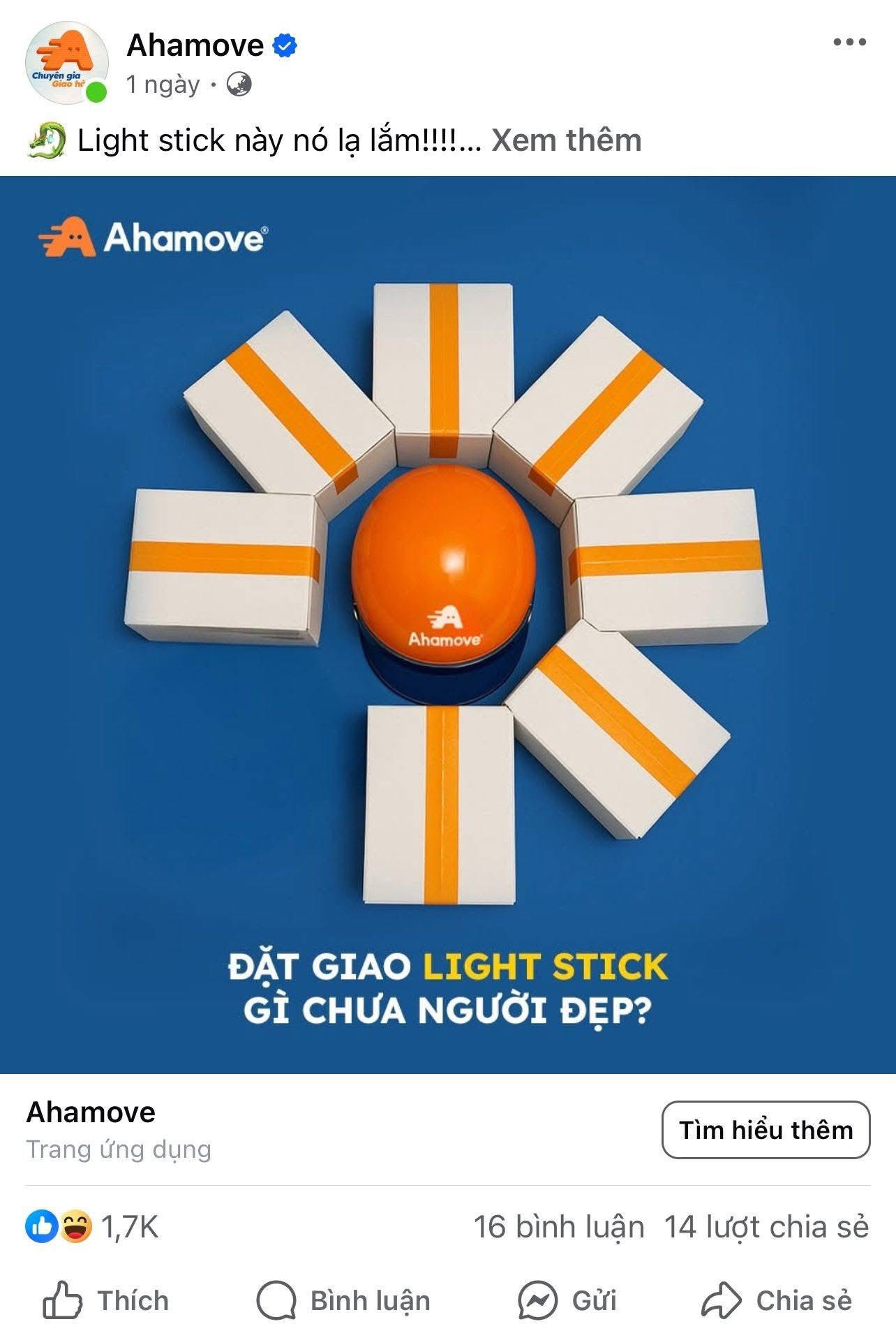 hoa cu c4.jpg