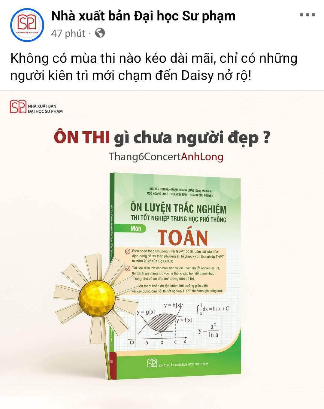 hoa cuc 10.jpg