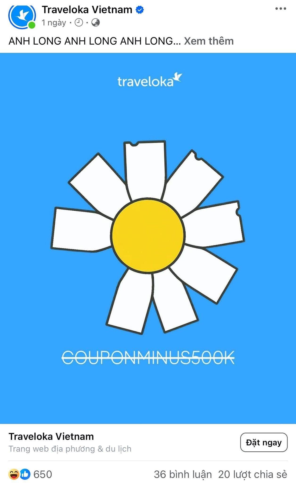 hoa cuc 6.jpg