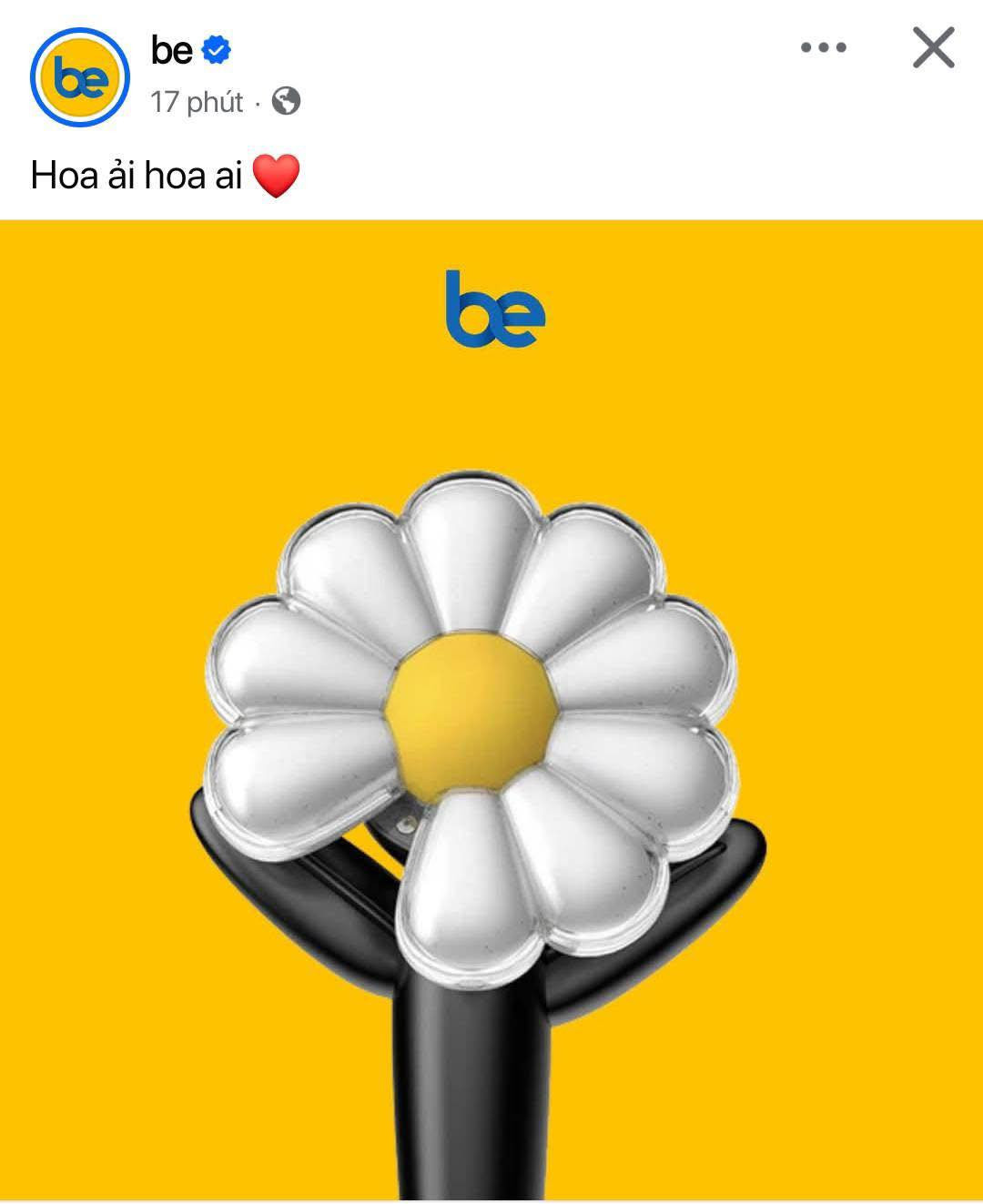 hoa cuc 8.jpg